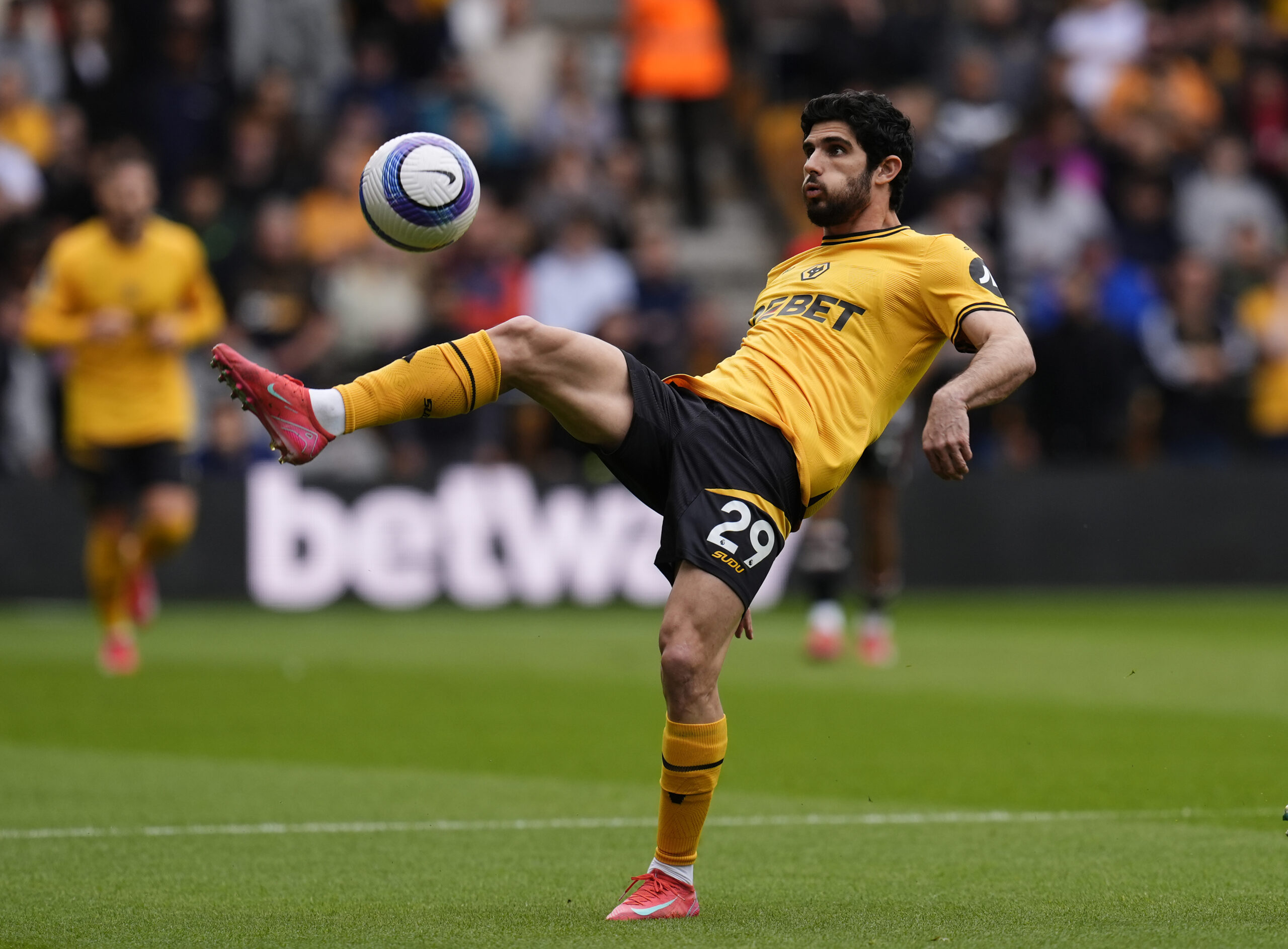 Mercato : Gonçalo Guedes quitte Wolverhampton pour la Real Sociedad