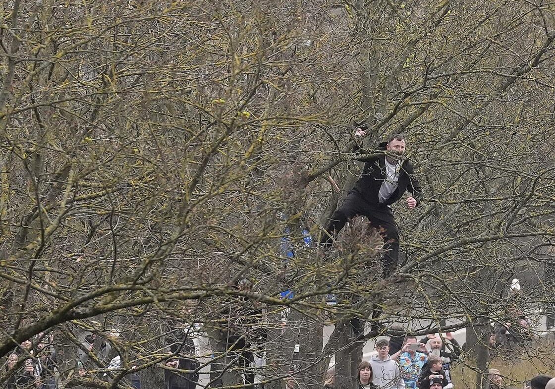Angleterre : Interdit de stade par son club, un supporter se réfugie dans un arbre pour voir les matchs