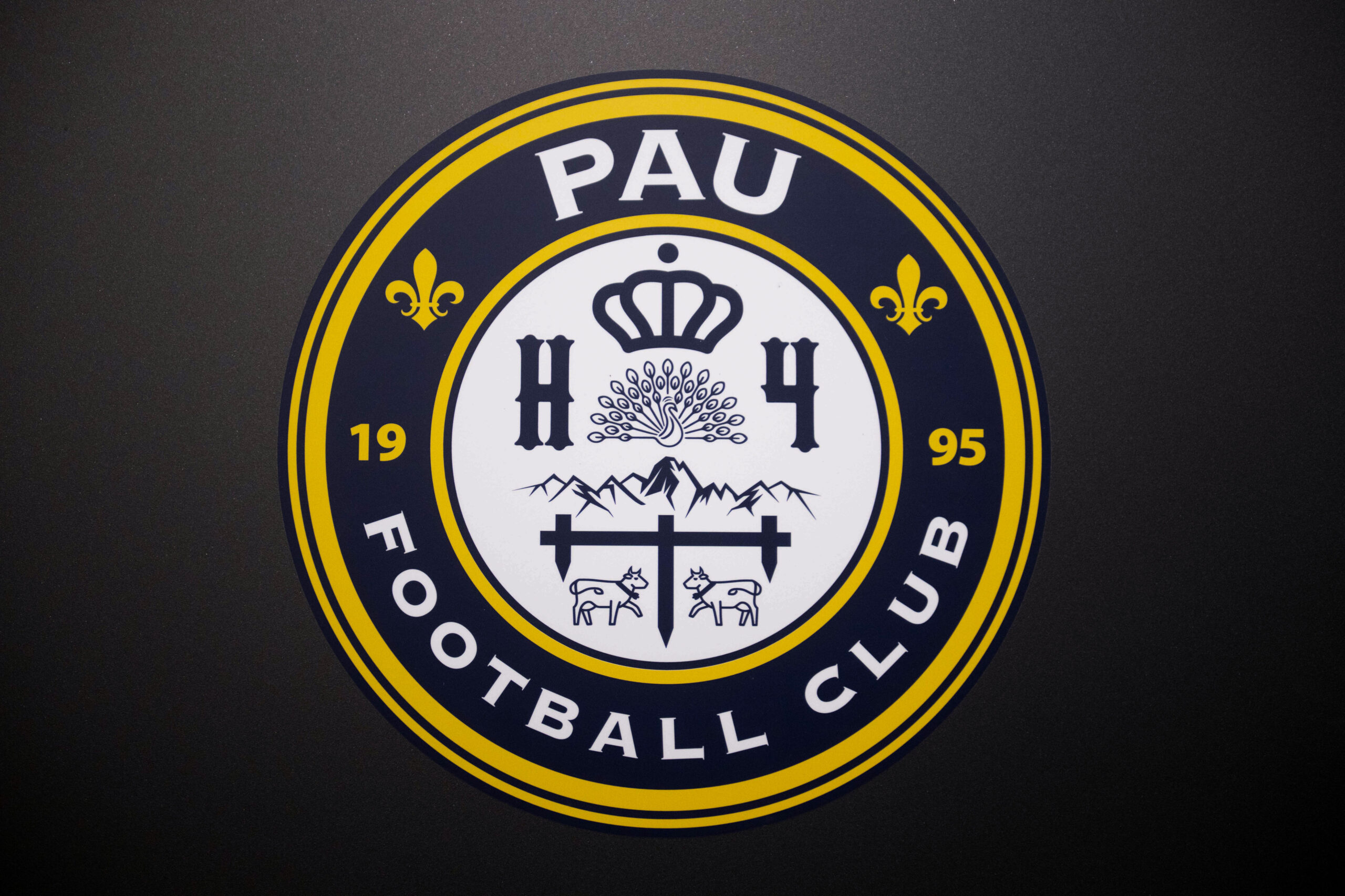 Mercato : le Pau FC (Ligue 2) interdit de recrutement par la FIFA