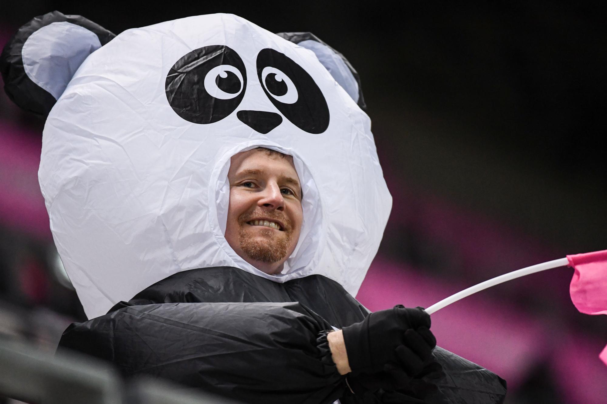 Ligue 1 : Deux pandas, Super Mario, trois tortues Ninja... Le parcage déjanté du SCO Angers à Lorient