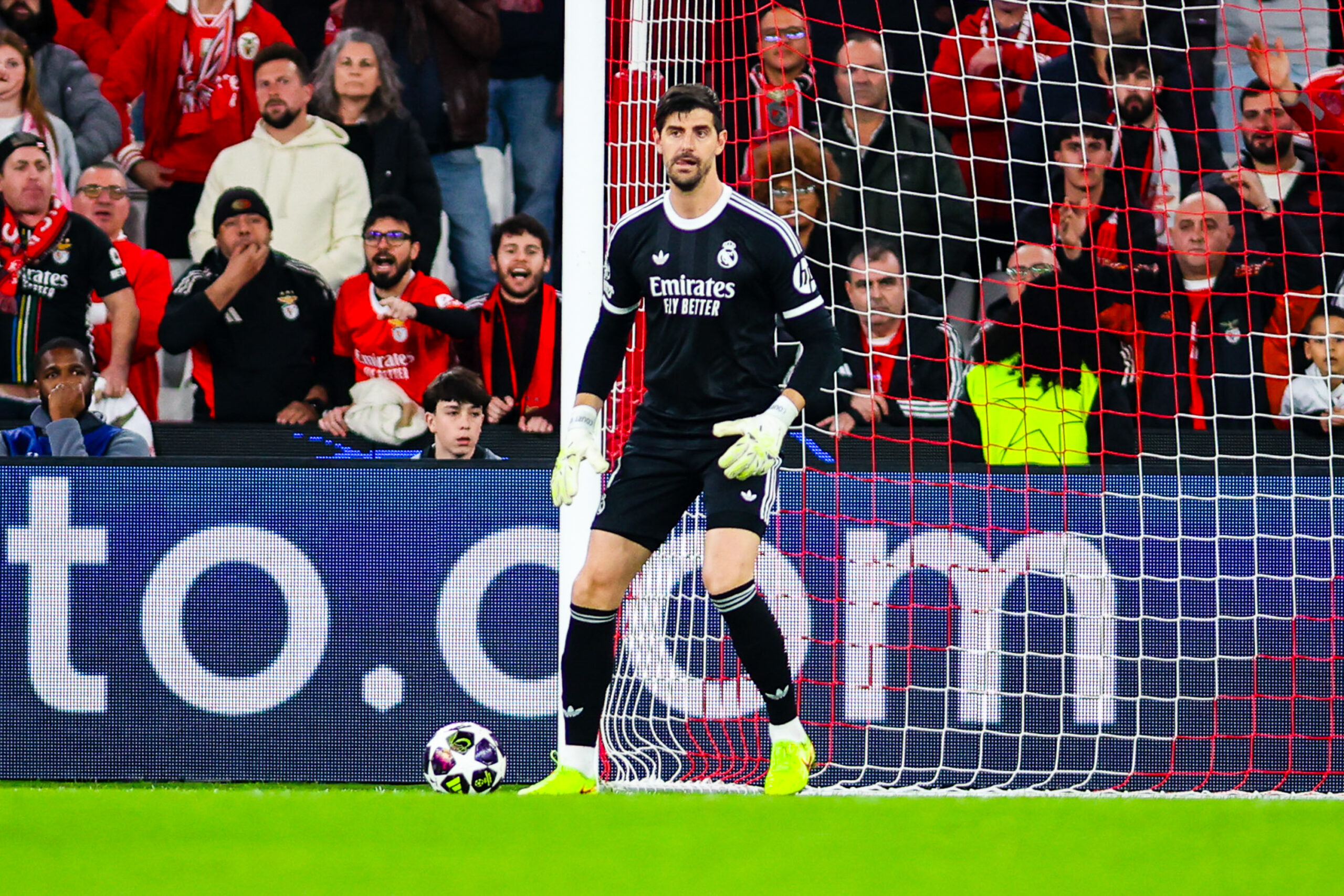 Ligue 2 : Thibaut Courtois investit au Mans FC après Novak Djokovic et Felipe Massa
