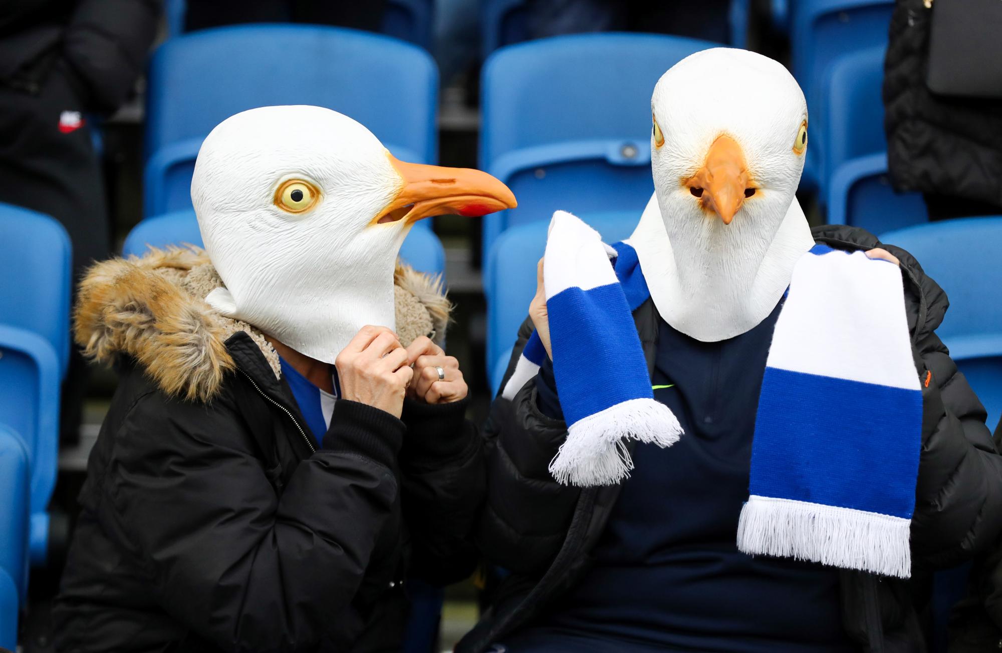 Un joueur amateur d'Istanbul sauve une mouette de la mort grâce à un massage cardiaque