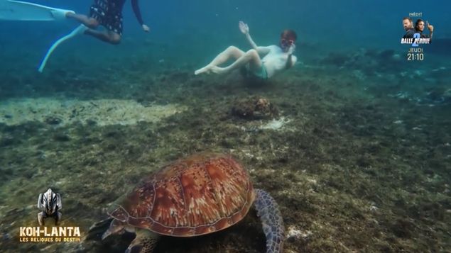 Les notes de Koh-Lanta/: les Reliques du destin épisode 13