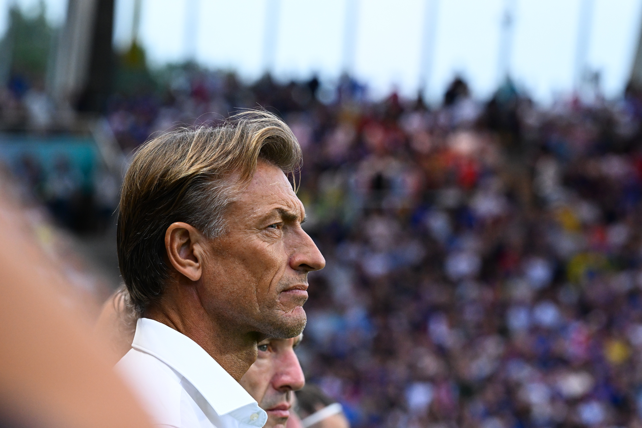 Coupe du monde 2026 : Que peut apporter Hervé Renard à la Tunisie ?