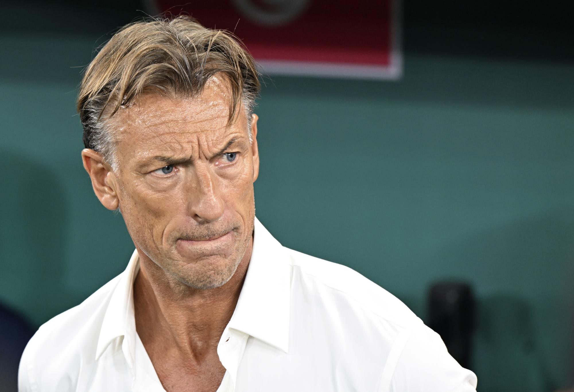 Hervé Renard après la défaite de la Tunisie à la Coupe du monde : «//Le moral est difficile, mais les joueurs n'ont pas lâché »