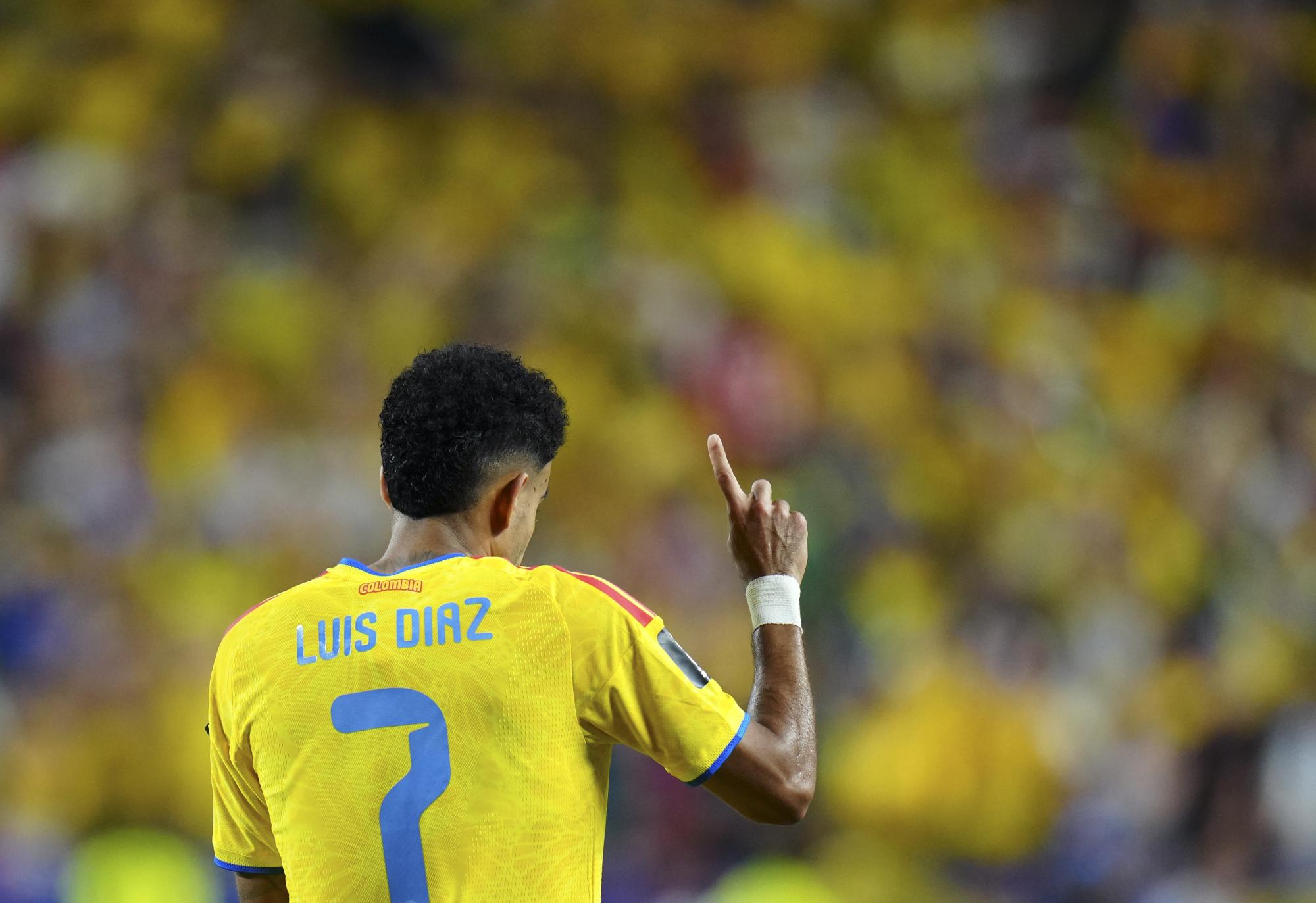 Malgré la victoire en seizièmes de finale de la Coupe du monde face au Ghana, «//la Colombie n'a encore rien gagné » selon Luis Díaz